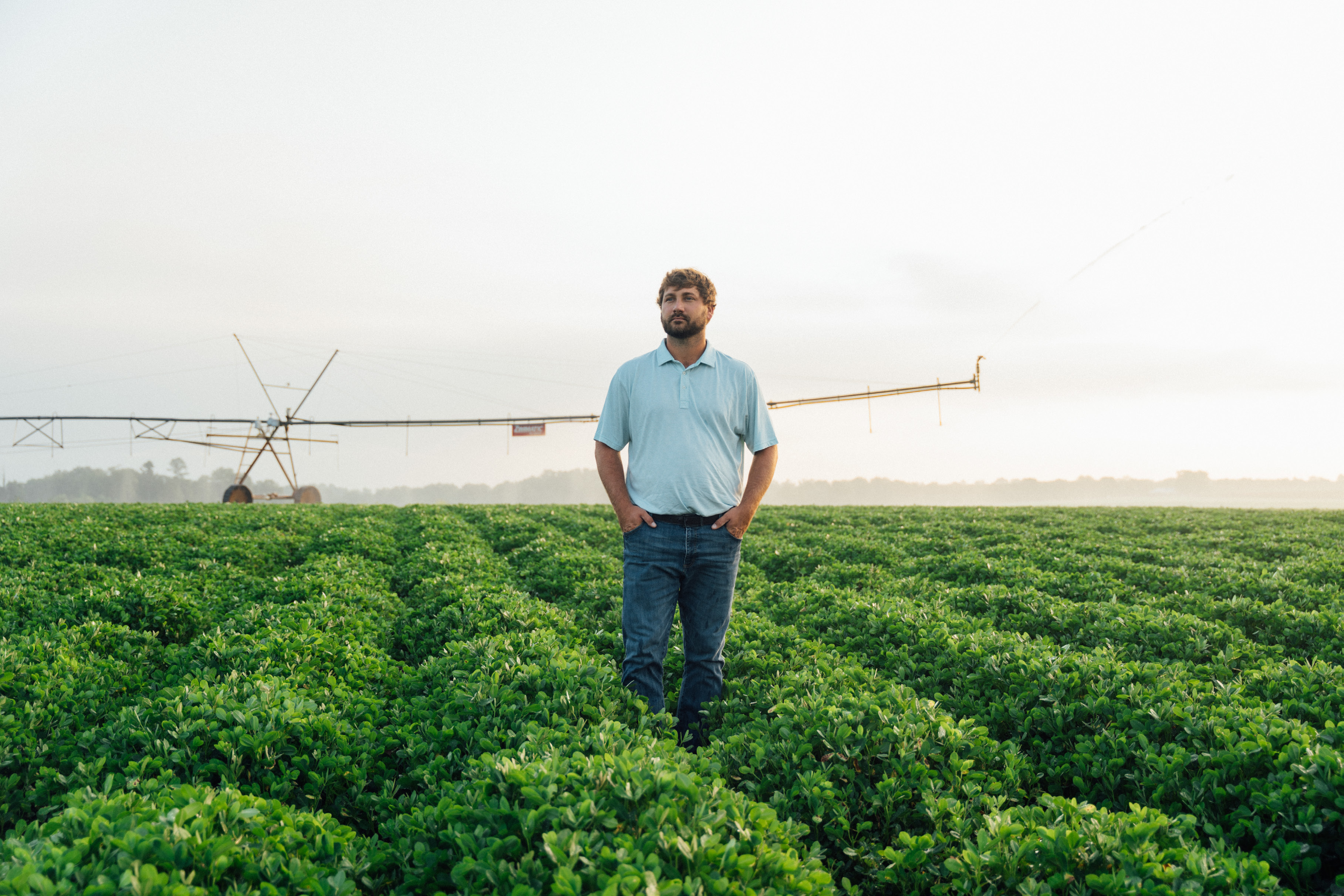 Farmer standing in irrigated field